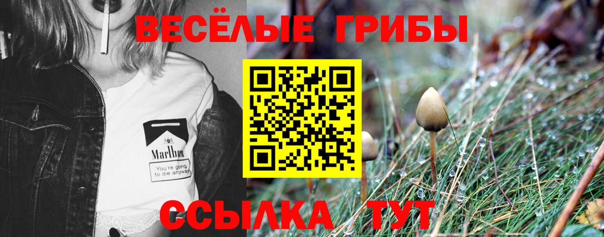 Галлюциногенные грибы мицелий  Галлюциногенные грибы MAGIC MUSHROOMS  Чита  Вход с VPN 